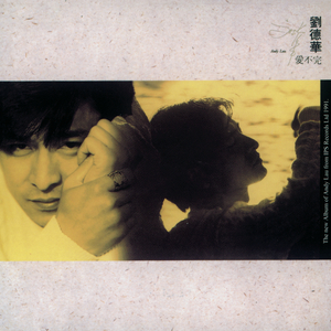 91精品在线观看视频
